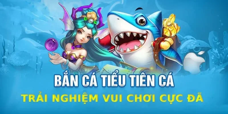 Code bắn cá là gì? Code bắn cá là gì?