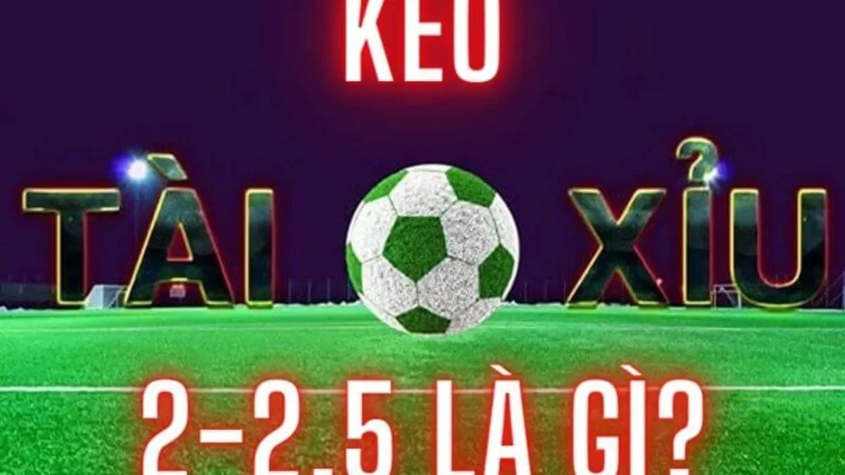 Một số các lưu ý khi sử dụng trong Tài Xỉu 2-2.5 Là Gì